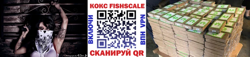 где найти   Вышний Волочёк  Кокаин Эквадор 