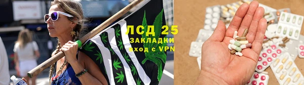 ГАЛЛЮЦИНОГЕННЫЕ ГРИБЫ Алзамай