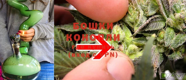 сатива Абаза