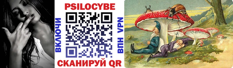 Псилоцибиновые грибы прущие грибы  Вышний Волочёк 